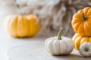 Autumn decor for the holiday. Beautiful decorative pumpkins. Space for text. Banner, background,...