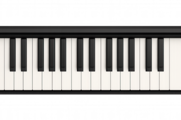 Piano keyboard instrument keys creating music, classical symphony, melody, harmony, rhythm, black and white design