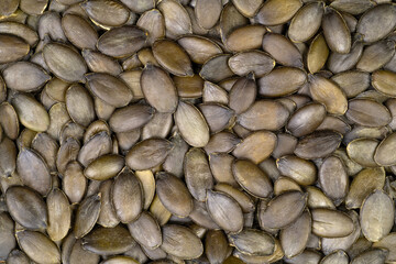 Pumpkin seeds background