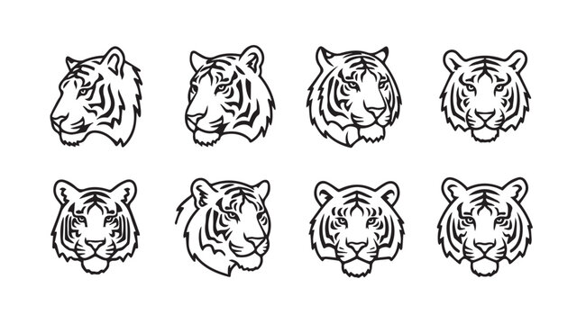 Collection of eight expressive tiger head line art portraits in various poses and angles vector