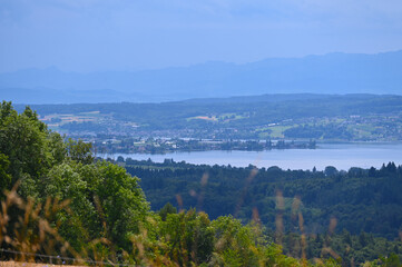 Fototapeta premium Bodensee, Untersee