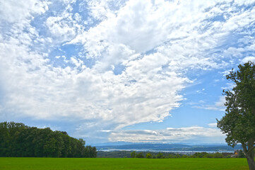 Bodensee, Untersee