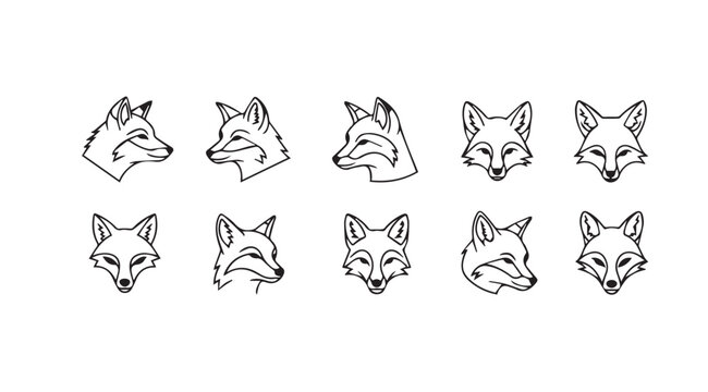 Collection of artistic fox head sketches diverse expressions and poses for wildlife art vector