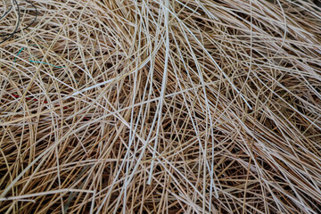 The texture of rattan stems before being made into handicrafts