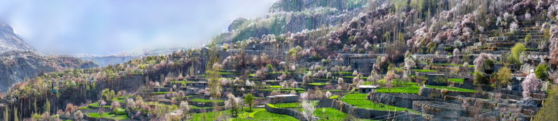 beautiful panorama landscape of spring season in Gilgit Baltistan 