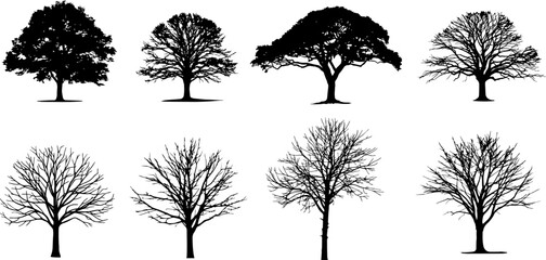 Tree Line Icon &ndash; Nature, Environment, and Growth Symbol Vector