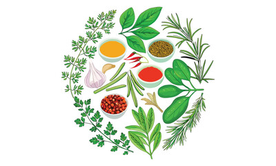 Herbs and Spices Vector Set – Culinary Leaves, Flavorful Plants & Natural Seasonings