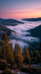 Fototapeta premium Misty mountain valley sunrise, fog filling pine forest canyon, pastel sky glow, peaceful morning atmosphere