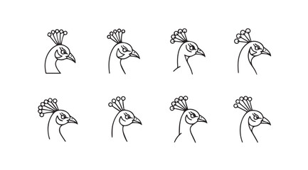 Collection of eight hand drawn sketch styles of elegant peacock heads facing left vector
