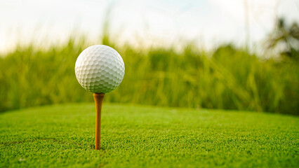 Golf ball on green grass in the evening golf course with sunshine background.