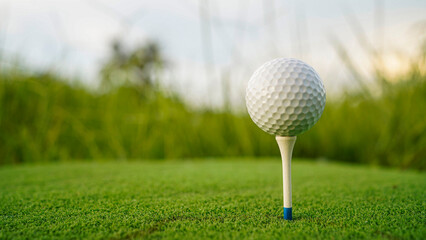Golf ball on green grass in the evening golf course with sunshine background.