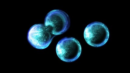 Cells of a living organism divide, clearly demonstrating the process of uncontrollable growth and reproduction of cells and bacteria.
- Powered by Adobe