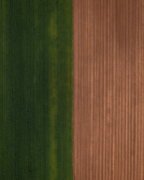 Aerial view of a stark contrast between vibrant green fields and neatly furrowed brown earth creates a striking agricultural mosaic, Vukovar, Vukovar-Srijem County, Croatia.