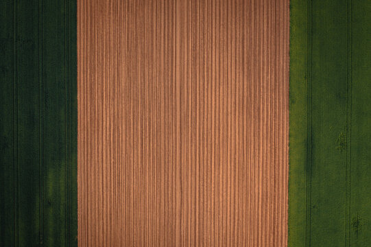 Aerial view of symmetrical agricultural fields, where the earthy tones of tilled soil meet vibrant green crops, creating a striking contrast, Vukovar, Vukovar-Srijem County, Croatia.
