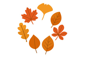 Collection of various autumn leaves arranged in a circular frame design