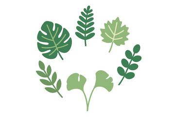 Collection of diverse green foliage forming a decorative circular frame design element