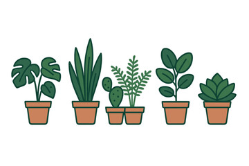 Diverse group of popular potted green houseplants including tropical foliage and succulents