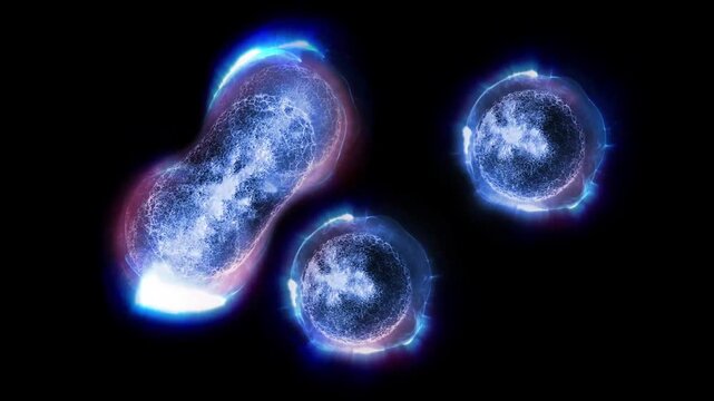 Cells of a living organism divide, clearly demonstrating the process of uncontrollable growth and reproduction of cells and bacteria.
