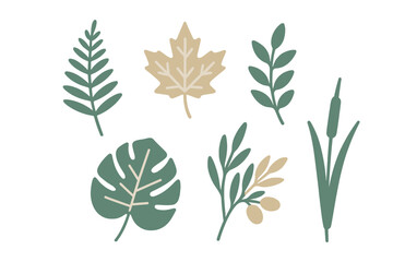 Stylized collection of botanical elements, tropical leaves, foliage, and wetland plants