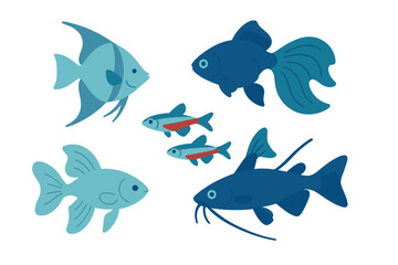 Diverse group of popular freshwater aquarium fish swimming together on white background