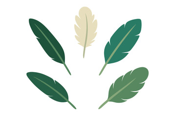 Set of five stylized decorative bird feathers in green and cream colors