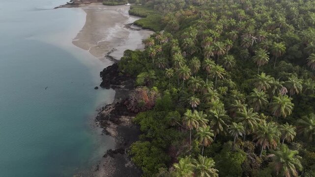 Aerial drone view of lush tropical palm tree beach forest meeting turquoise waters in the Bijagos Islands, Guinea Bissau.Africa Wes coast aerial footage