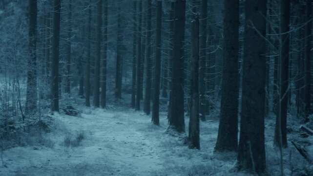 Extrem frostiger kalter Wald
