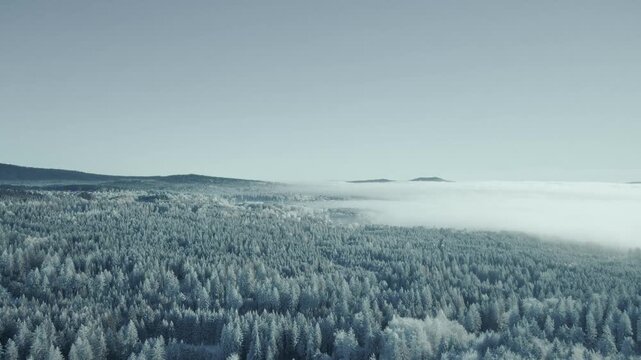 Panorama &uuml;ber eisigen verschneiten Wald