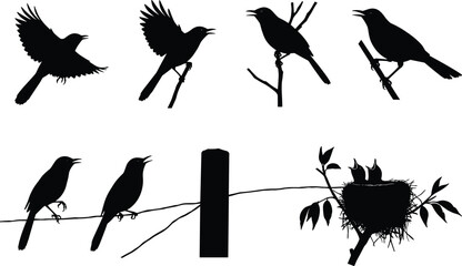 Bird Silhouettes on Branches and Nest Vector Illustration for Nature, Wildlife, Graphic Design, Education, and Decorative Art Projects