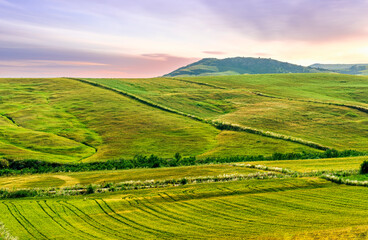 Fototapeta premium picturesque sunset or sunrise in nice green and yellow shiny field with beautiful golden rows of wheat among highland hills and bright colorful evening sky with clouds on background