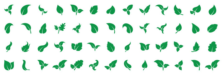 Green leaves icons set isolated on white background vector illustration. Vegan, tree, plant, fresh, energy and healthy nutrition concept. Leaf vector icons. Eco leaf logo. Simple linear leaves of tree