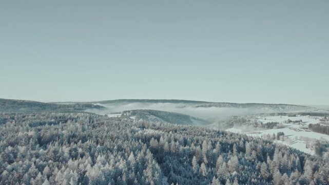 Panorama &uuml;ber eisigen verschneiten Wald