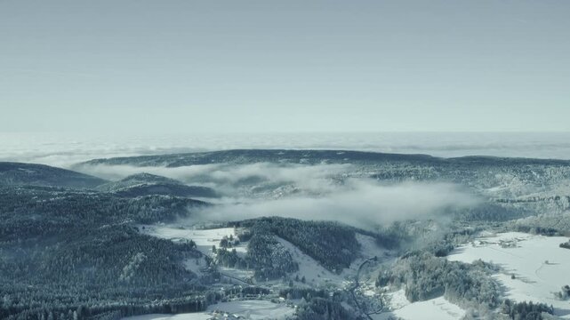 Panorama &uuml;ber eisigen verschneiten Wald