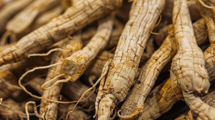 Ginseng: Traditional Herbal Supplement for Energy & Immunity – Korean, American Varieties. Used in Teas, Extracts, Capsules. Natural, Premium Options for Daily Wellness.