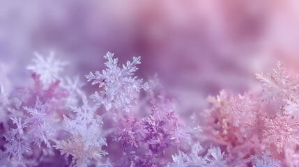 Naklejka premium Delicate ice crystals displaying intricate geometric patterns with a blurred, soft focus background, creating a dreamy, ethereal atmosphere.