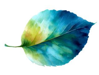 watercolor leaf fresh botanical watercolor