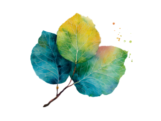 watercolor leaf creative foliage pattern