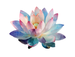 watercolor lotus peaceful petal watercolor artwork  