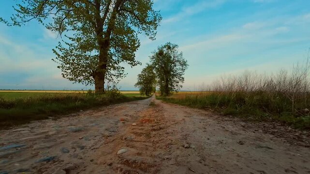 Point of view car driving on dirt road through countryside at sunset. Vehicle rolling over rural trail, POV angle showing natural surroundings. Evening ride along bumpy country path between open