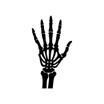 Illustration of a skeleton hand in black on transparent background silhouette