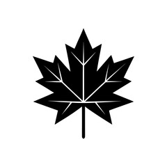 Obraz premium Black silhouette of a maple leaf design on transparent background
