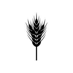 Illustration of a single wheat stalk grain on transparent background silhouette