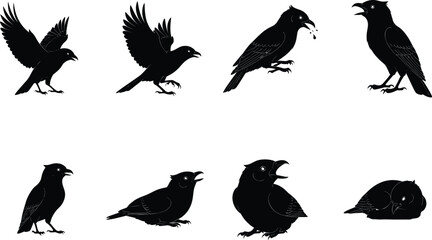 Crow Bird Vector Silhouettes Depicting Flying, Perching, Feeding, and Resting Poses for Wildlife, Tattoo, and Graphic Design Use