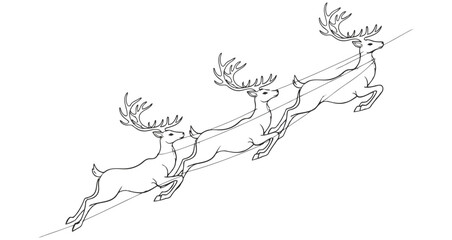 Three Stag Deer Running in a Line with Antlers and Diagonal Line Overlay animal wildlife