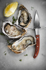 Fresh Oysters with lemon. Open oysters and knife on a gray table. Healthy sea food. French Oyster dinner in restaurant. Grey background. Seafood, Gourmet food. Flat lay, top view. Vertical image 