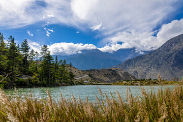 Dhumba Lake in Mustang, Nepal, a tranquil turquoise lake surrounded by pine trees and the majestic Nilgiri mountains under a bright blue Himalayan sky. A hidden gem of Jomsom and the Annapurna region.