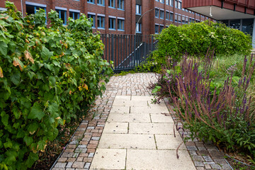 Pathway with Mediterranean plants and cobblestone pavement surrounded by green architecture in a quiet urban area of Hamburg