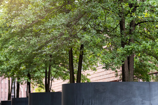 Small Mediterranean-style park with trees and stone pavement integrated into the modern architecture of Hamburg, designed as a green refuge in the city