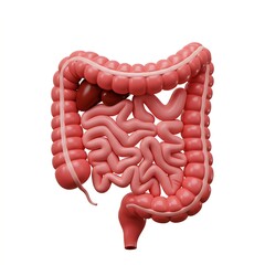 colon with a representation of a normal, healthy state. The intestinal walls are smooth and pink, with visible haustra.  