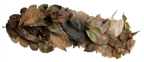 Dry leaf autumn brown decay texture organic nature foliage pile waste with subtle melancholy